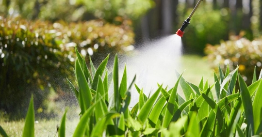 Pest control technician sprays pesticides on the garden